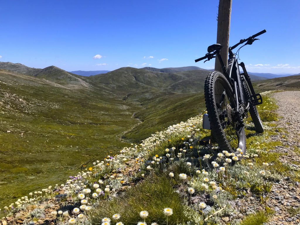 Mountain bike overlooking alpine wildflowers and valleys